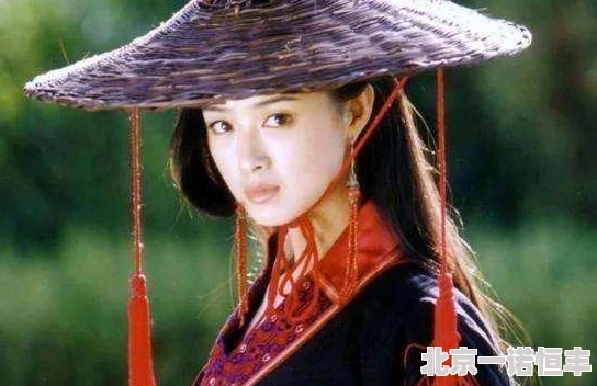 不思议迷宫攻略：全新天龙八部雕像高效打法技巧与最强阵容搭配揭秘