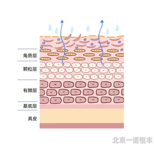 d越小越水多探讨d值与含水量之间的关系及其在不同领域中的应用