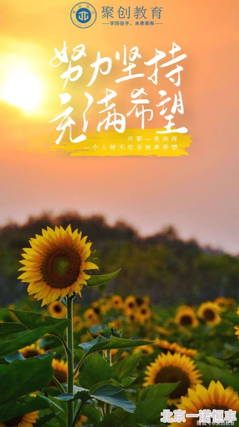 waswaswas18yax坚持不懈努力每天进步积极向上充满希望