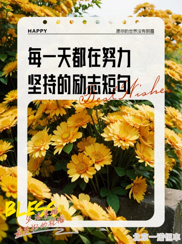 waswaswas18yax坚持不懈努力每天进步积极向上充满希望