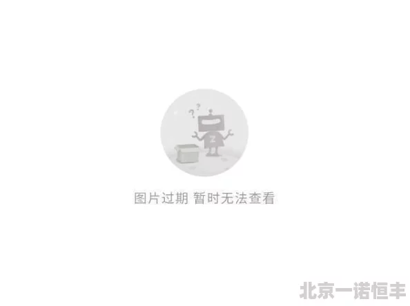 国产肥老妇视频69高清完整版现已上线