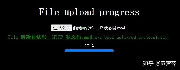 fuqer+Video100%视频处理已完成等待上传