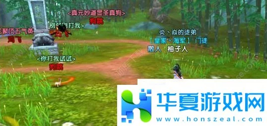 网友热议：寻仙手游鸡飞狗跳大阵高效解开技巧与破解攻略